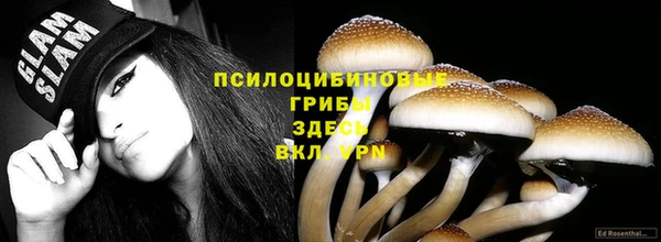 стафф Алзамай
