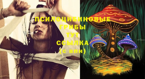 трава Козельск