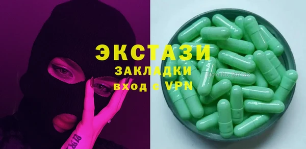 гашик Алексин