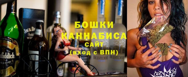 гашик Алексин