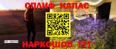 дживик Гусев