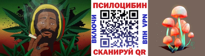 Псилоцибиновые грибы GOLDEN TEACHER  Кыштым 