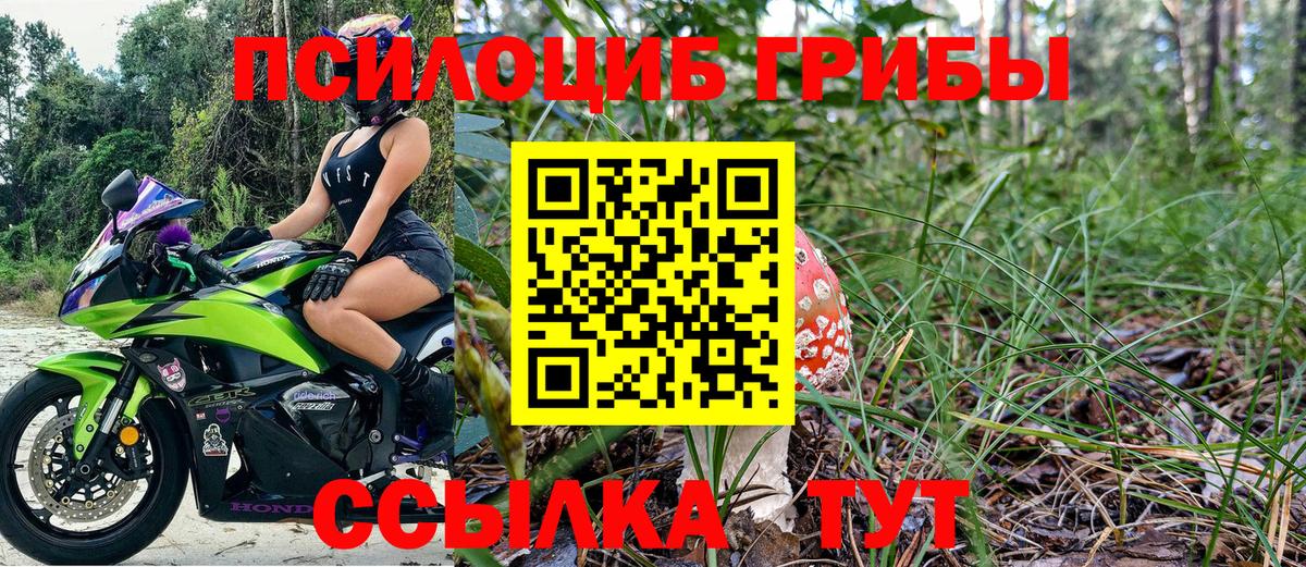 Галлюциногенные грибы Psilocybe  Вход с VPN  Кыштым 