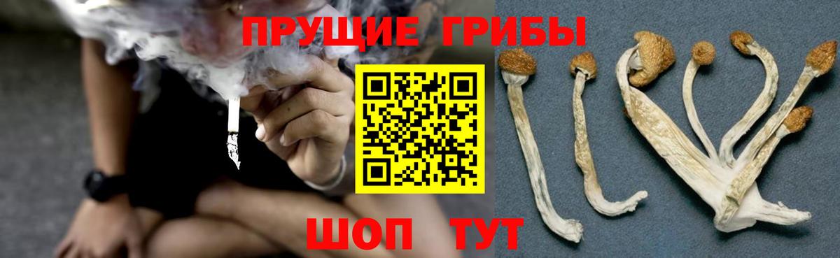 Галлюциногенные грибы MAGIC MUSHROOMS Кыштым